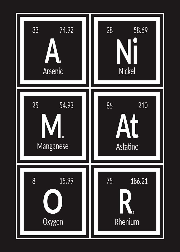 Animator Elements