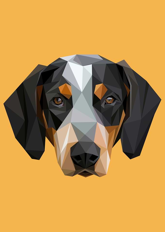 Abstract Dog Head Portrait