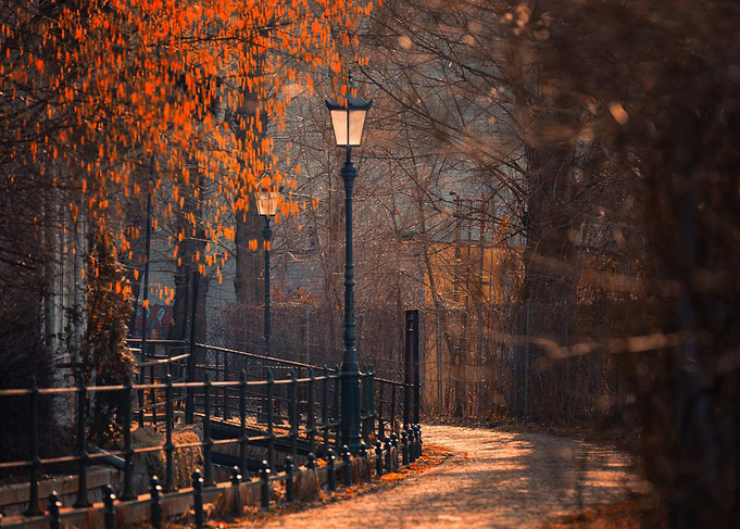 Autumn Path with Streetlight, Poland