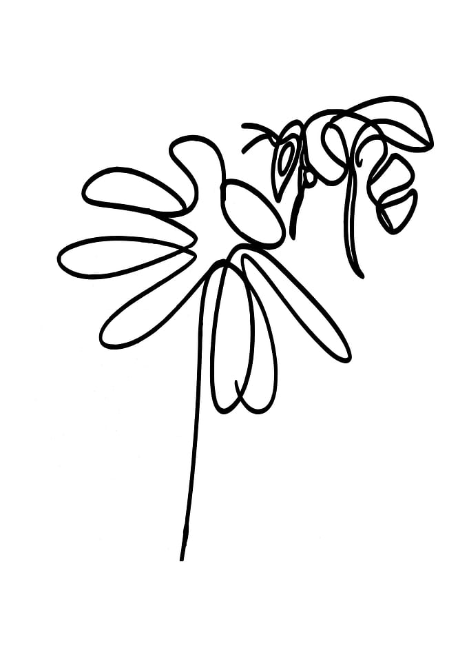Bee and Flower Line Art