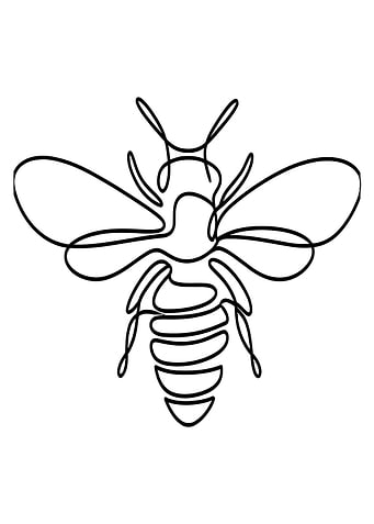 One Line Bee Illustration