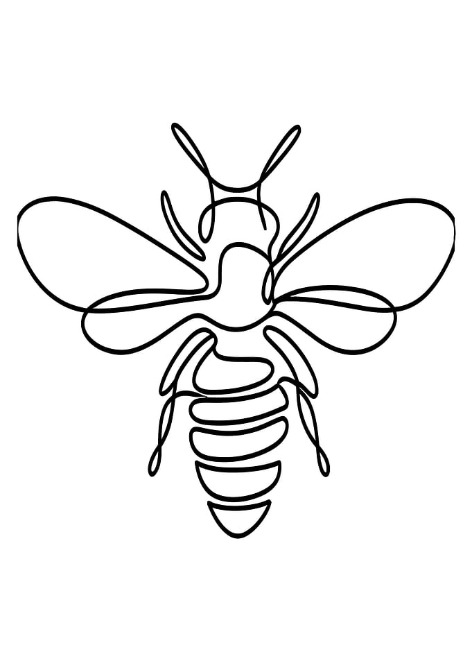 One Line Bee Illustration