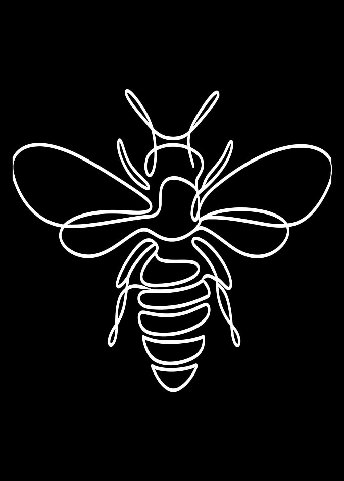 Single Line Bee Illustration