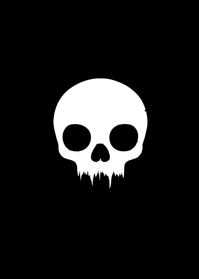 White Skull on Black