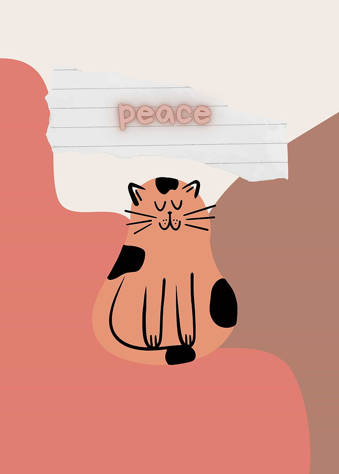 Peaceful Cat