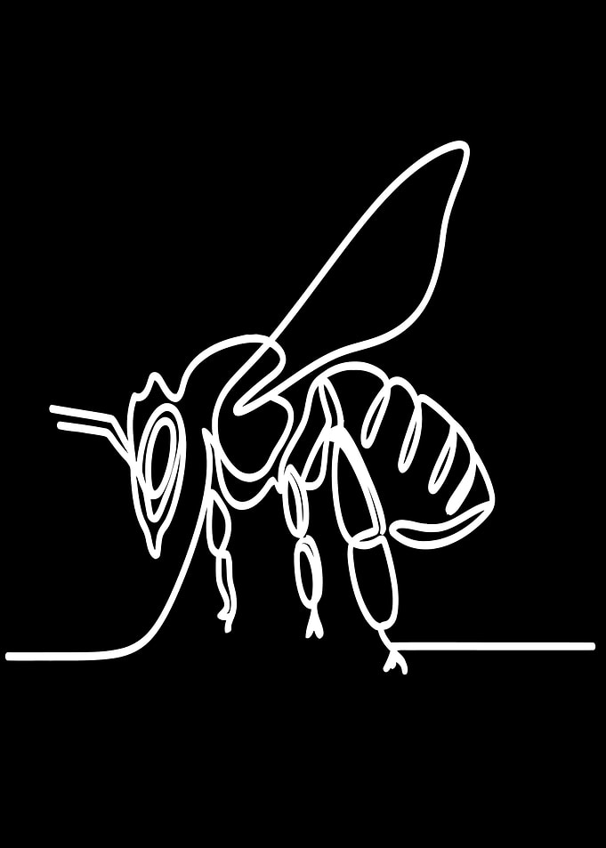 Bee Line Art