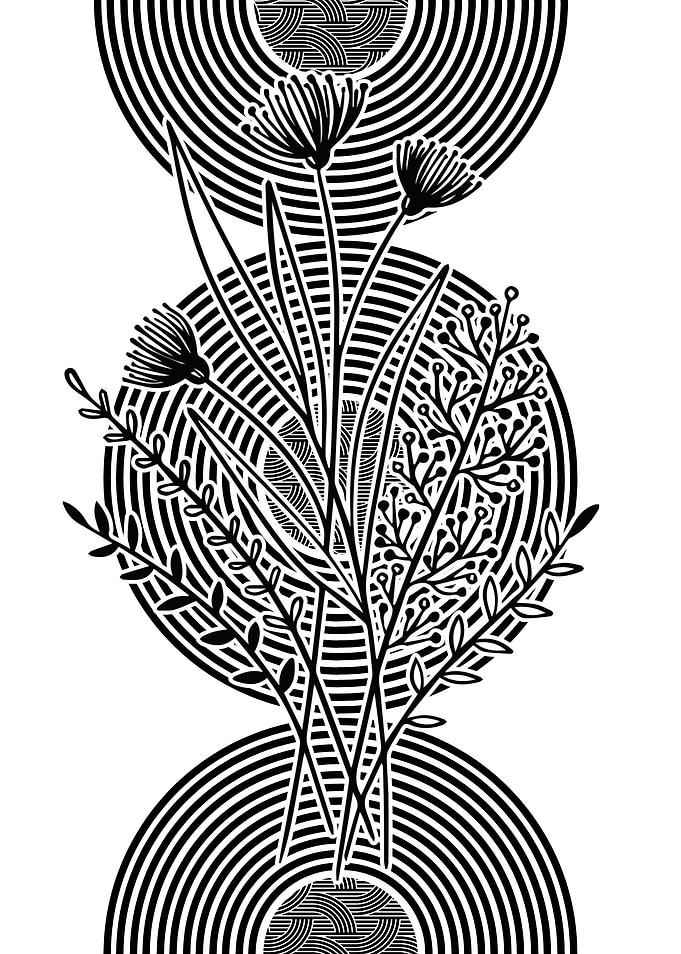 Black and White Floral Art