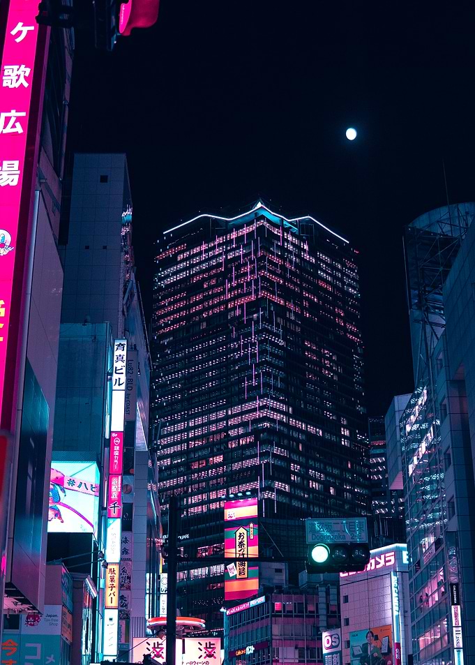 Moonlight above Tokyo