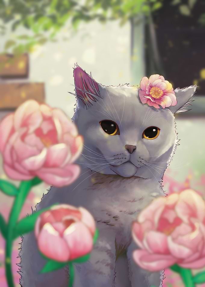 Cotton