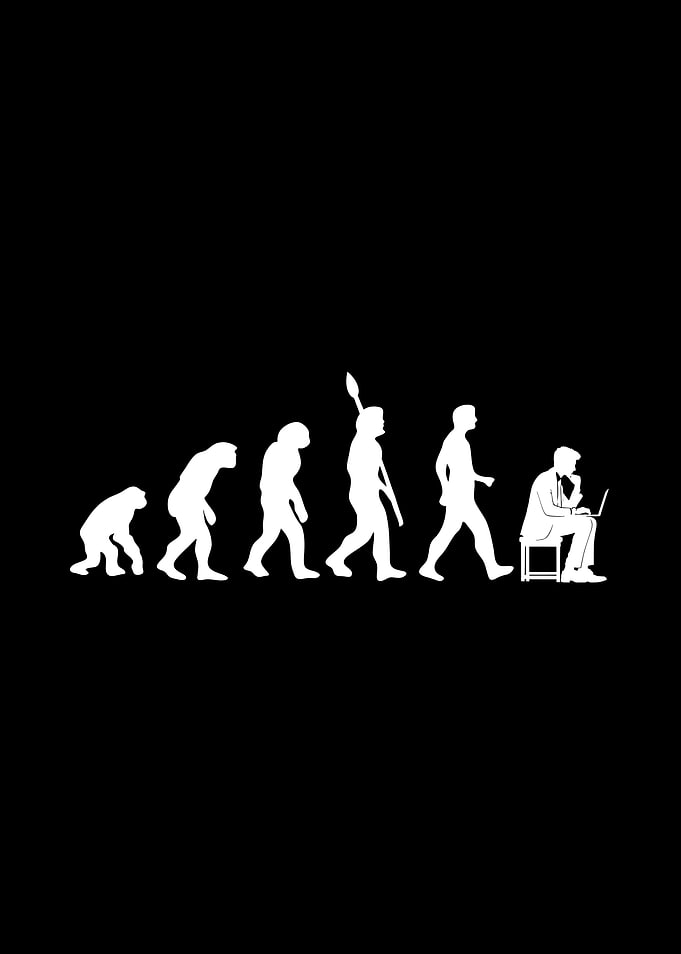 Pogramer Evolution
