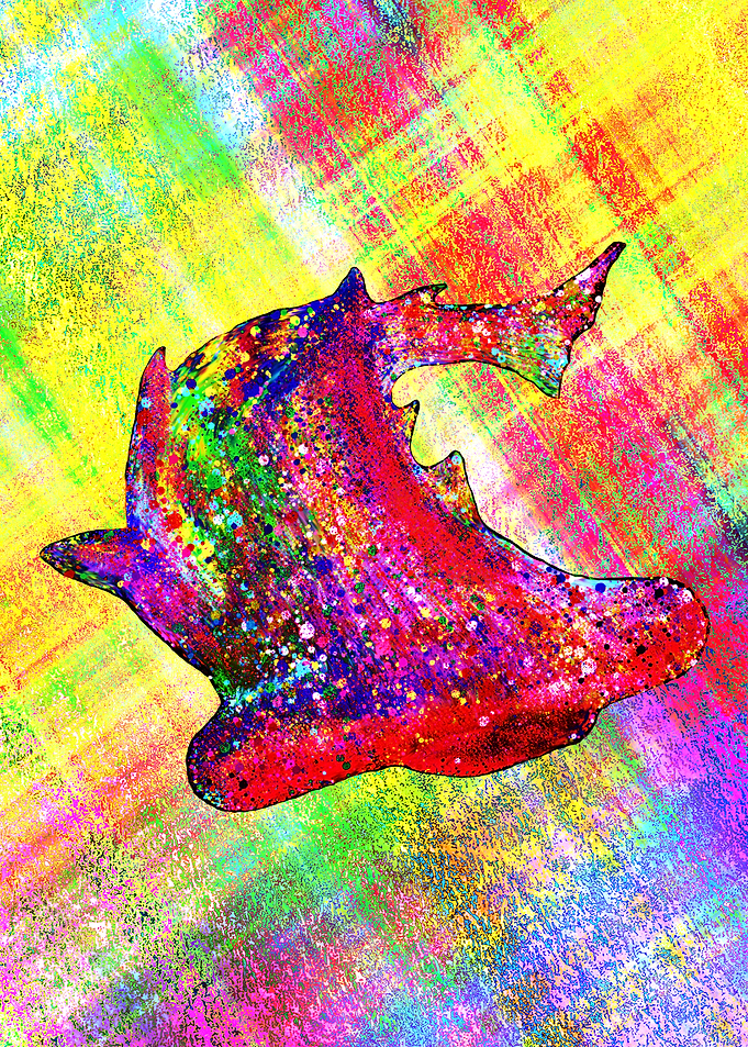 Rainbow Hammerhead