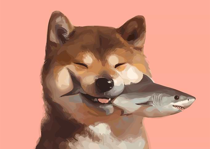 Shiba Inu Holding Shark