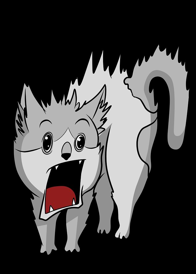 Screaming Cat Cartoon