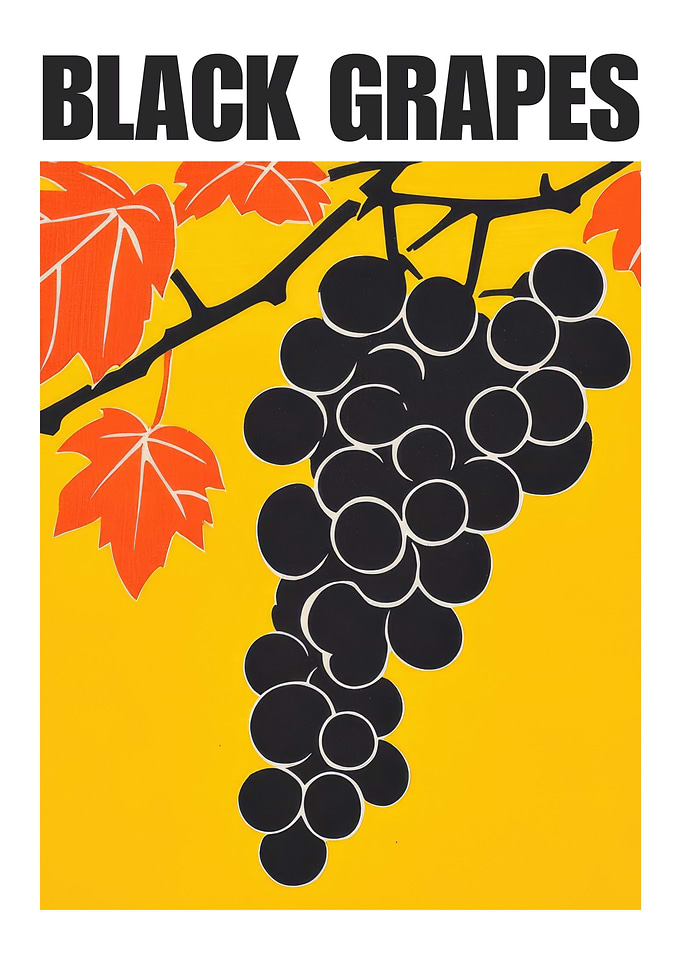 Black Grapes Retro Art Print