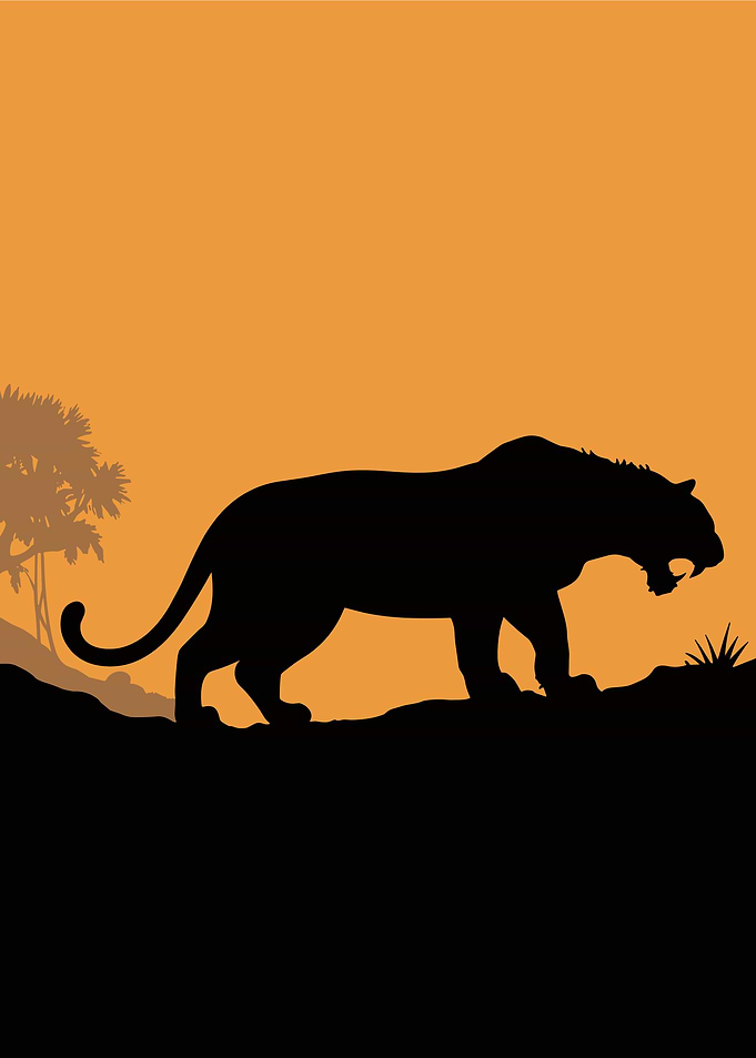 Tiger Silhouette Sunset