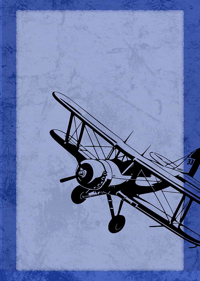Vintage Plane Print