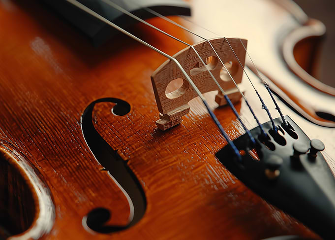 Violin Close-Up