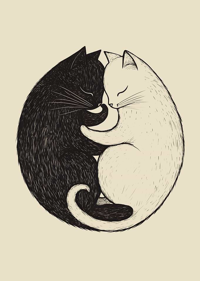 Yin Yang Cats