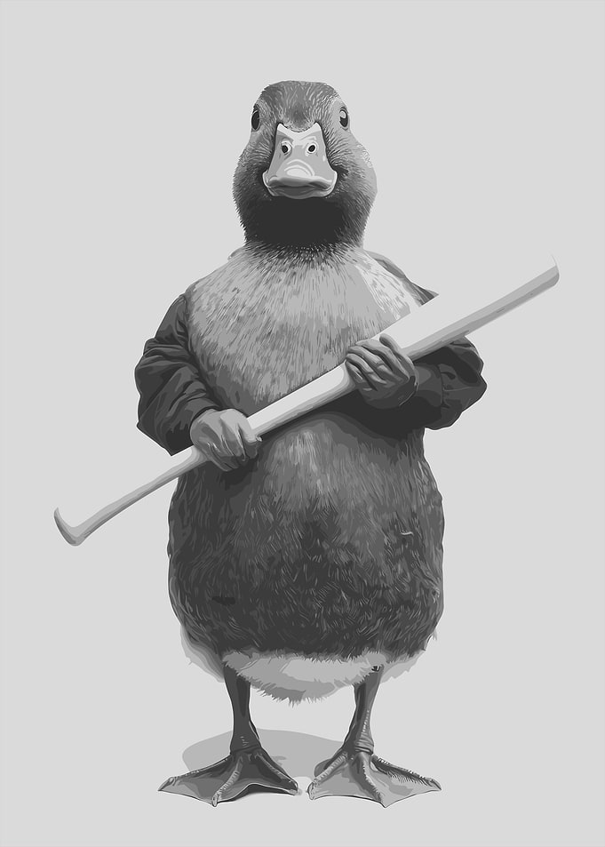Duck with Baseball Bat