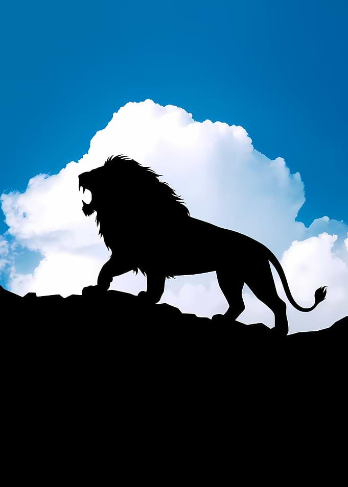 Lion Silhouette Against Sky