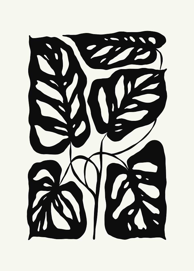 Black and White Monstera Leaves