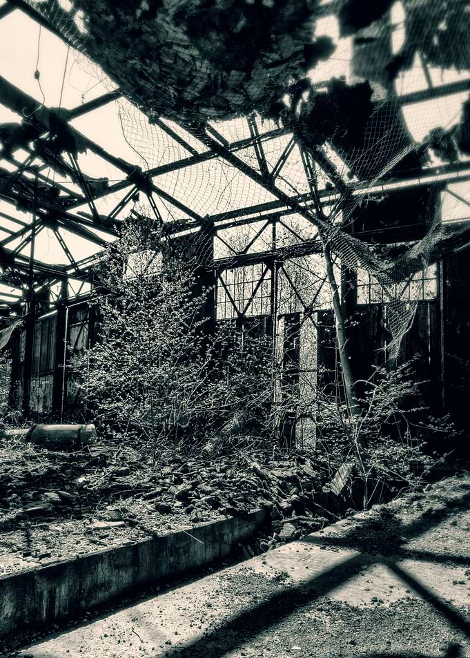 Abandoned Industrial Building