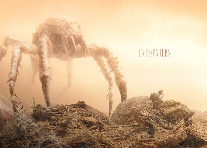 Giant Spider Encounter