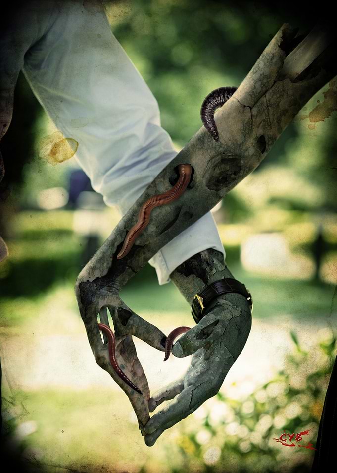 Worm Infested Hands