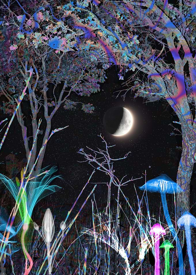 Nuit