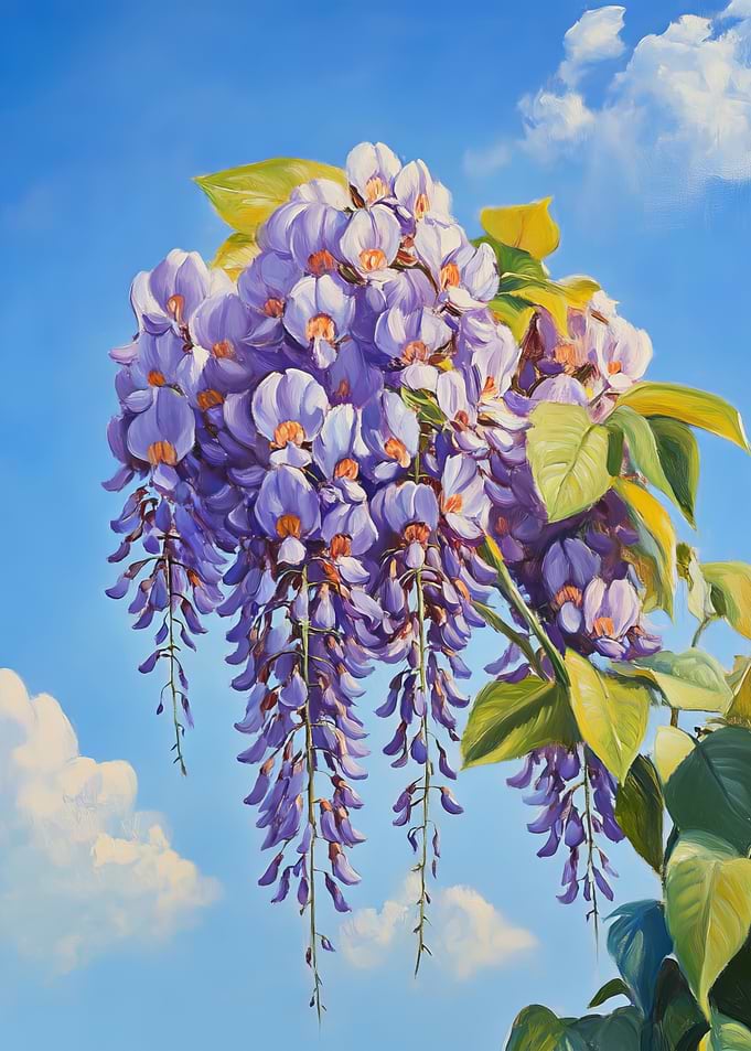 Bloom in Wisteria