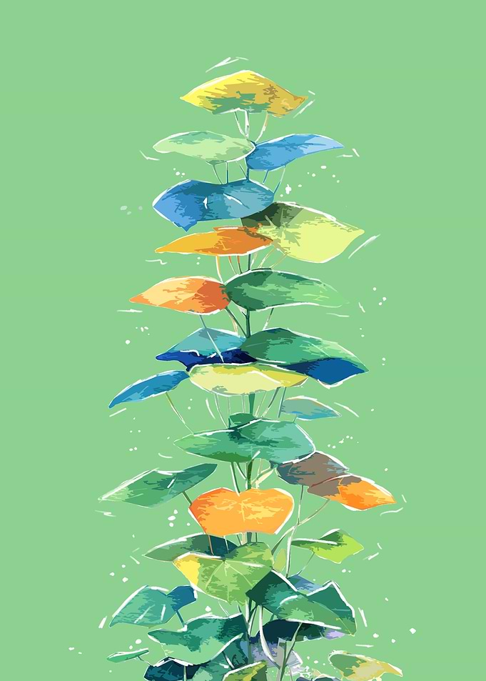 Colorful Leaves and Plants Illustration