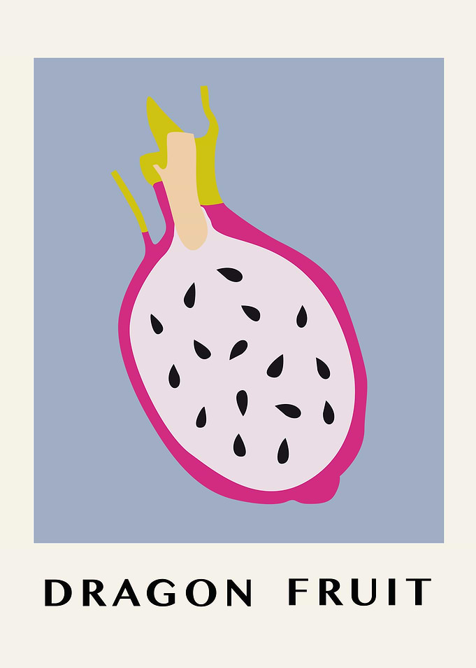 Dragon Fruit Illustration