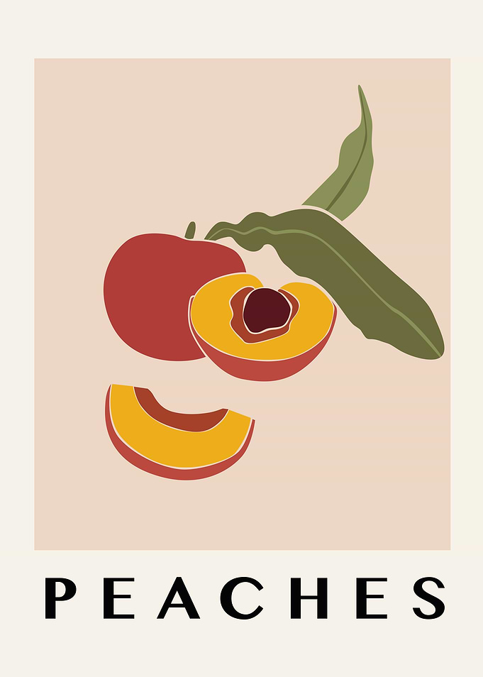 Peach Fruit Illustration