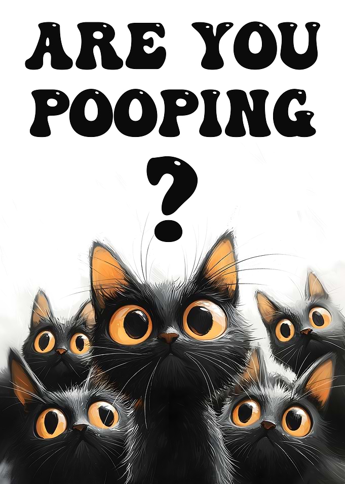 Funny Bathroom Cat Meme - Are You Pooping