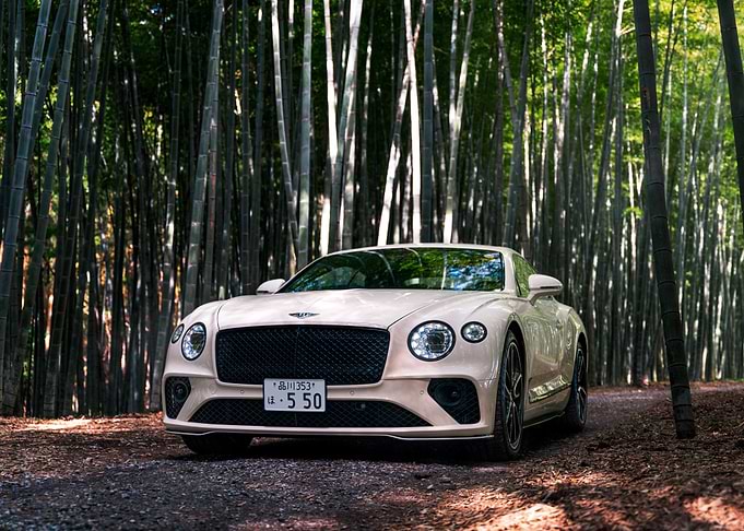 White Bentley in Bamboo Forest