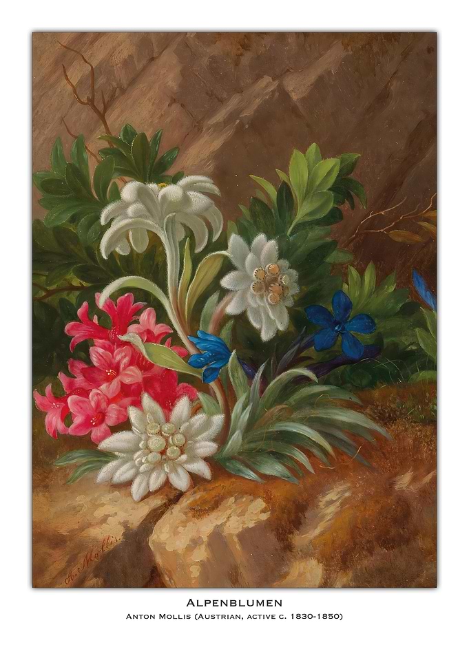 Alpine Flowers Painting