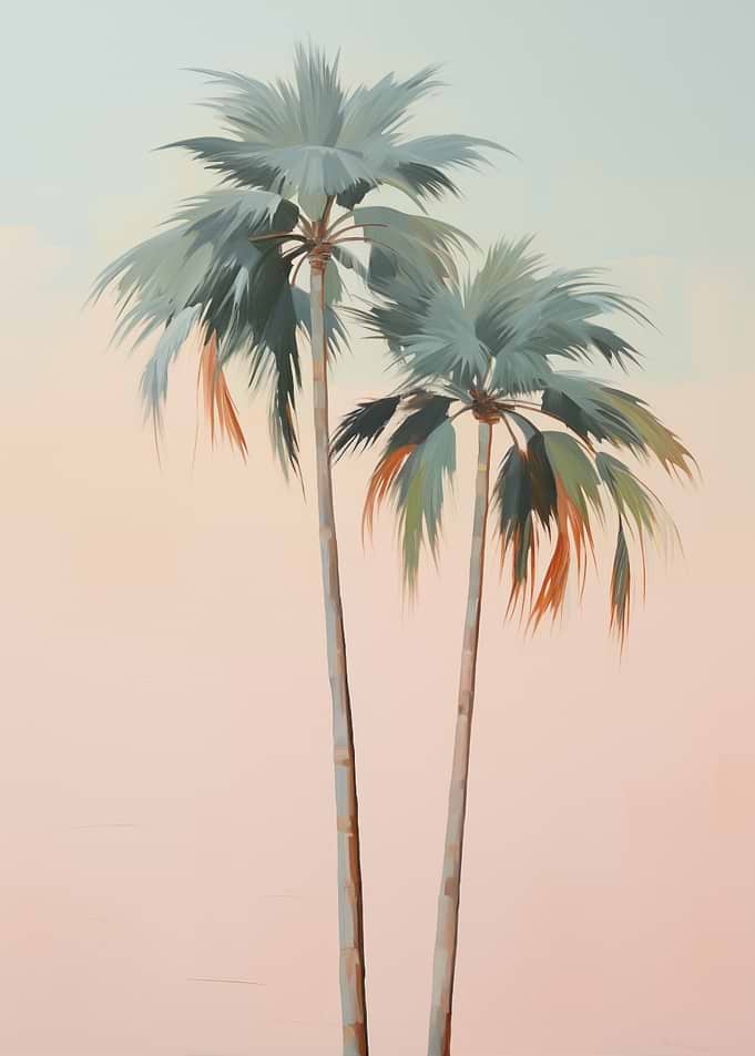 Palm Trees Sunset