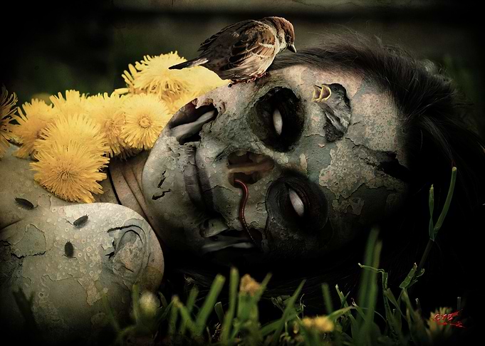 Eternal Spring
