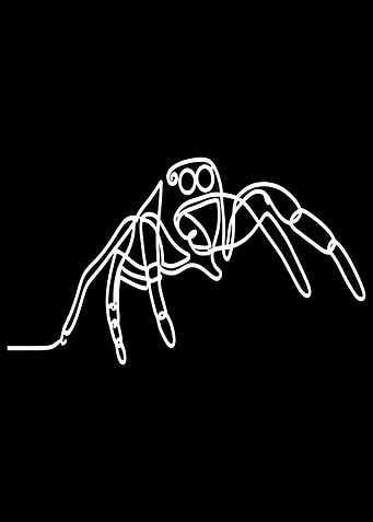 Jumping Spider Line Art