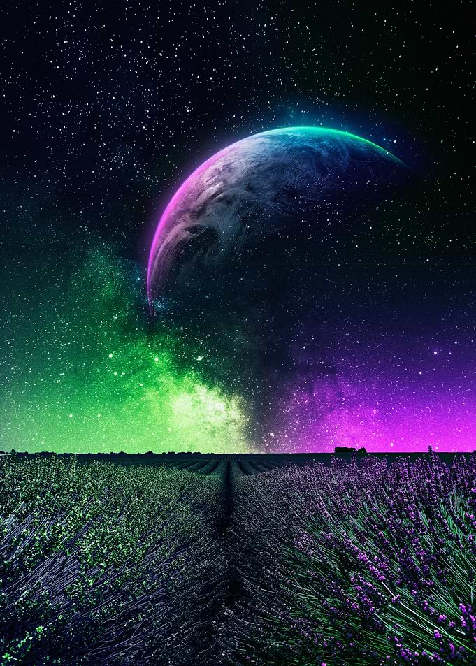 Lavender Field Under a Cosmic Sky