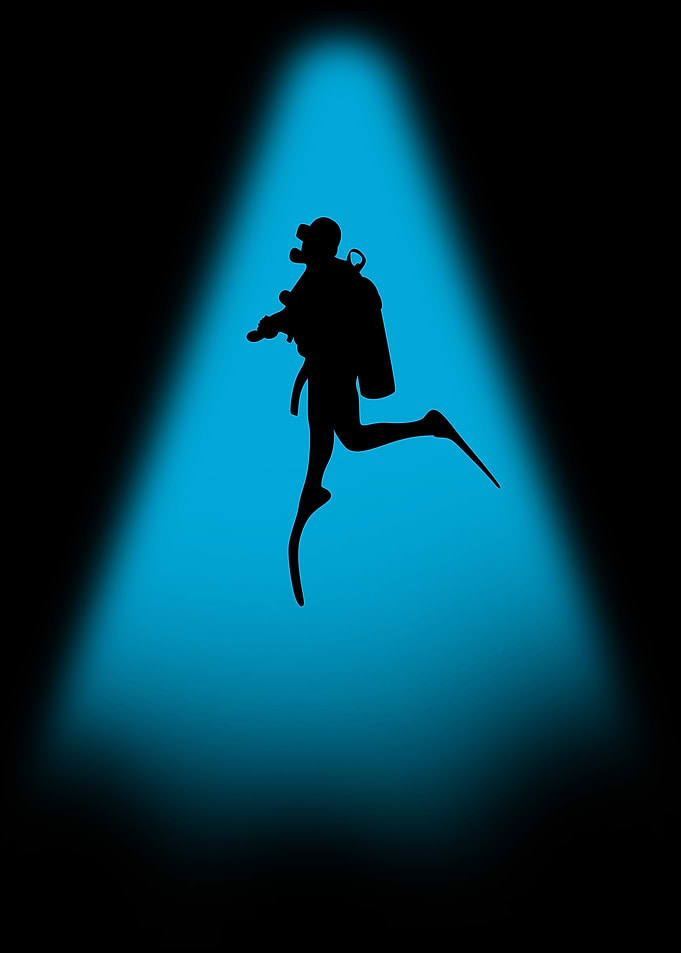 Scuba Diver Silhouette
