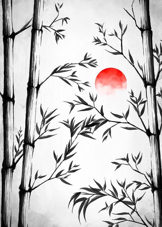 Bamboo Forest Sunset