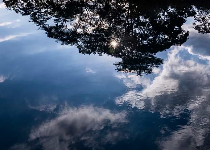 Reflected Sky and Tree