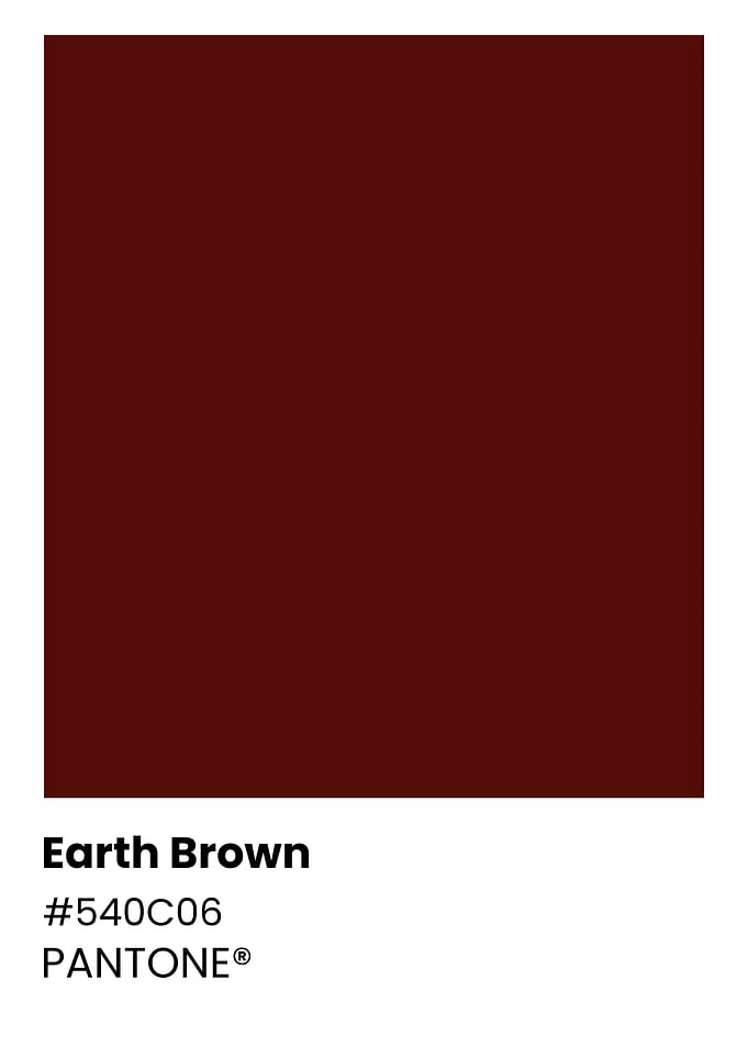 Pantone Earth Brown Color