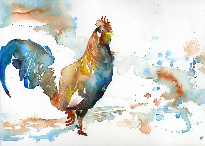 Watercolor Rooster