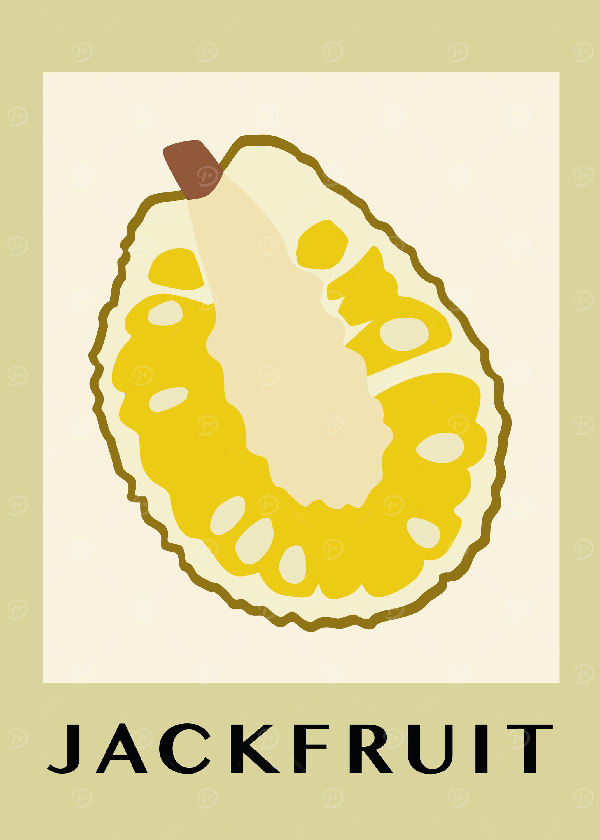 Jackfruit Illustration