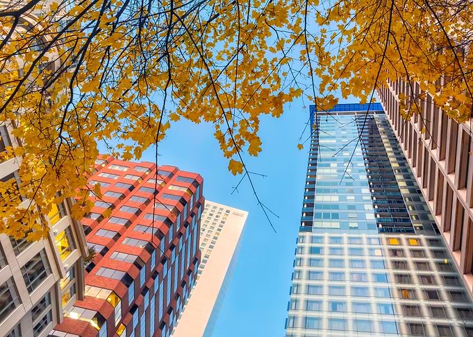 Autumn Cityscape with Skyscrapers