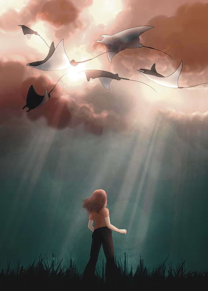 Sky Rays