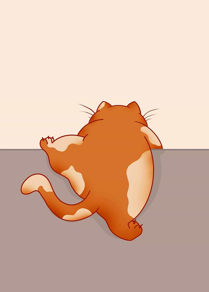 Curious Cat Peeking