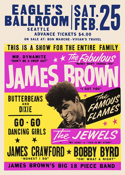 James Brown Concert Poster — retro concert bill printed on metal